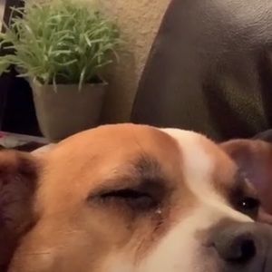 Meet your Posher, Sean